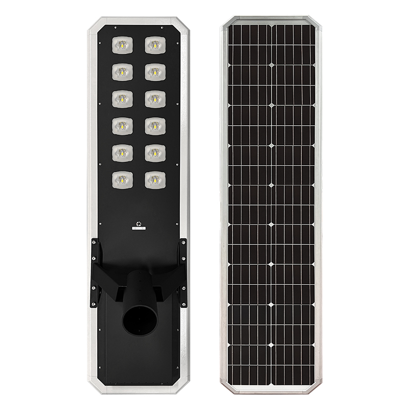 Venus正背面（英文主图）（更新）